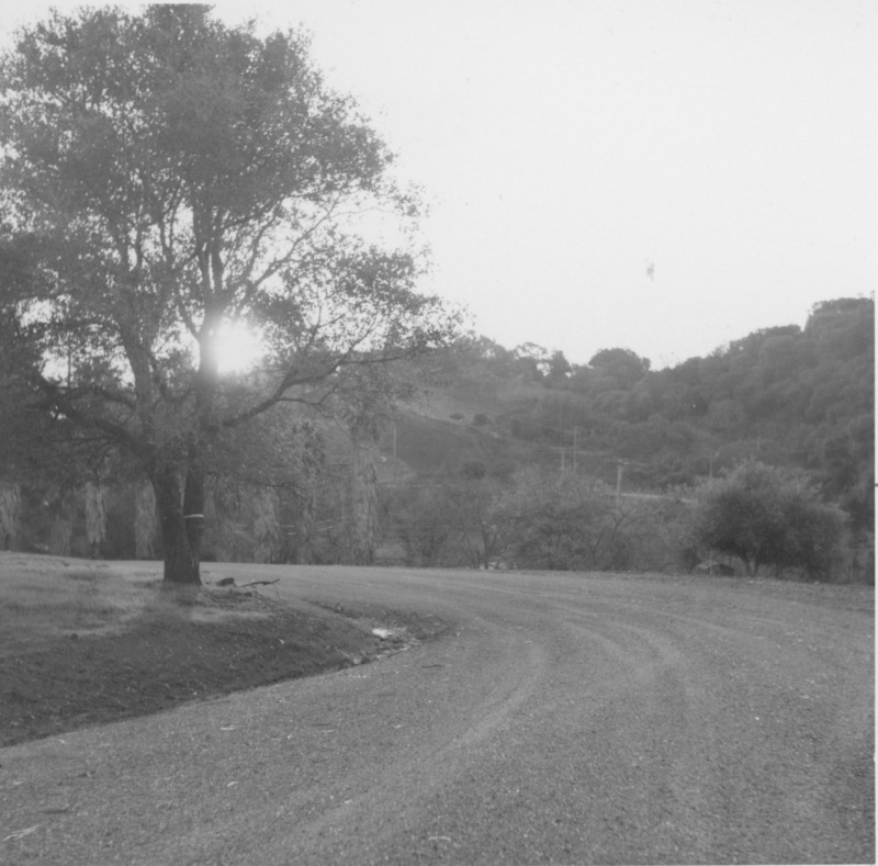 Looking SouthEast in 1961 on Campus Loop Road, sometimes referred to as the perimeter road.  