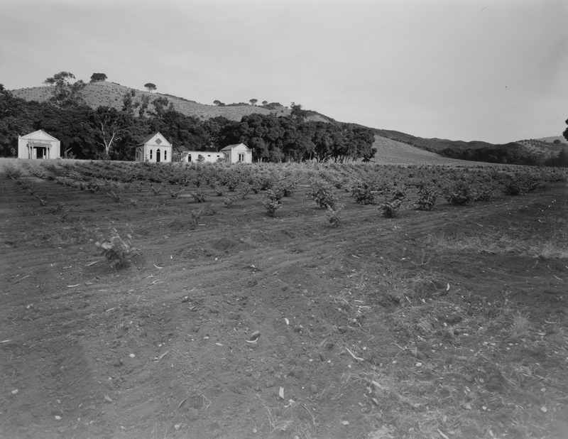 A view of Villa Maria winery in Cupertino. Photographer unknown. Date unknown, assumed to be late 1800s. 