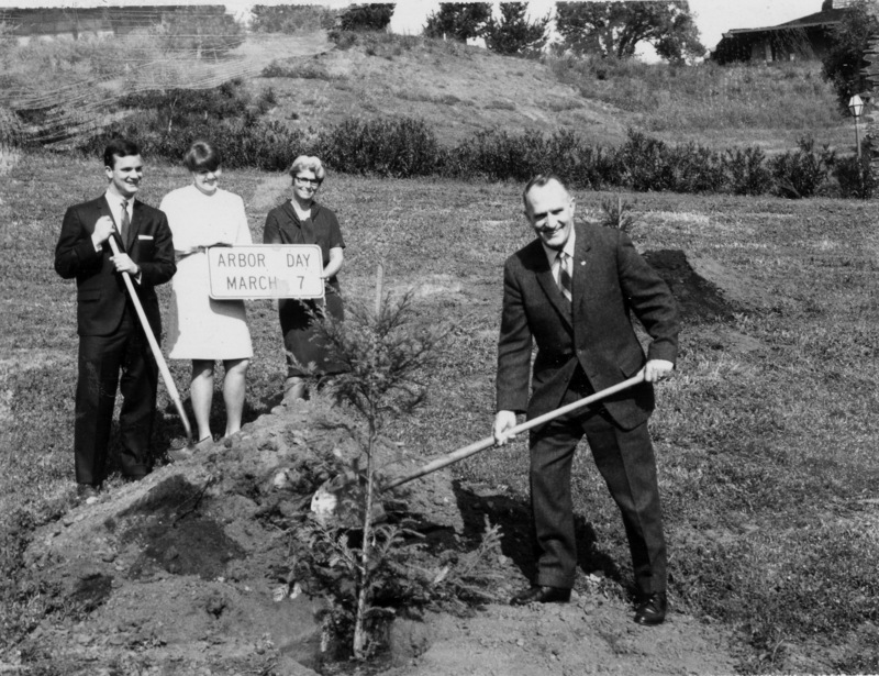 Dr. Calvin C. Flint helps to plant a tree at Foothill for Arbor Day 1962. Dr. Flint himself had said that he enjoyed "swinging a shovel" and working with plants at his home. 