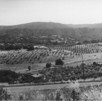 A view of the land before construction begins. El Monte Road can be seen at the bottom of the image.