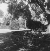 A view of a small section of the lush gardens that surrounded Le Petite Trianon when the District purchased the land in 1959. 
