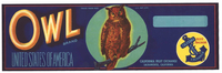 Some of the Griffin fruits were packed and shipped under the Owl Fruit Brand, shown on this label from the 1920s.