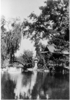 The Griffin family fish pond and tea house provided a serene spot for recreation or meditation. Note the half moon bridge and stone lantern, both traditional items found in Japanese tea gardens.
