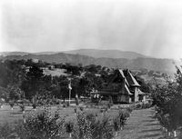 A view of the Griffin House during the early part of the 1900s; exact date unknown. 