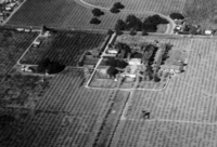 An aerial view of Le Petite Trianon and the surrounding land. The road that is crossing the upper portion of the image is Steven Creek Road (later Blvd.) To the right of Le Petite Trianon is the winery building, which still stands on the campus today. The two buildings to the left and slightly down from Le Petite Trianon are adobe structures, originally built to house servants and ranch workers. A reproduction of one of these adobe structures, in it's original location, is currently used for offices and classrooms. The peaked roof building located between the adobes and Stevens Creek is the barn. This barn stood on the De Anza campus until the late 1980s, when it was removed to make room for the four story parking garage. The exact date of this photo is unknown. It was likely taken in the early to mid 1950s.