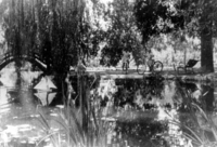 Two bicyclists stop to enjoy the tranquil beauty of the Griffin fish pond and half moon bridge. Date of photo unknown.