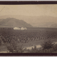 A view of a ranch in Cupertino in 1889. Picture taken from the home of Captain Marithew, whose home was located on McClellan Road. McClellan Road can be seen in the foreground.