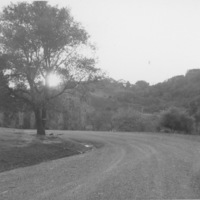 Looking SouthEast in 1961 on Campus Loop Road, sometimes referred to as the perimeter road.  