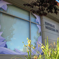 Spray-painted lavender crystalline shapes frame the Euphrat Museum front window.