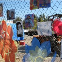 Multiple artworks on chain-link fence at construction site for new Euphrat. Some are large flowers.