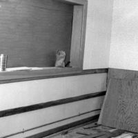 Construction of KFJC radio studio in basement of Foothill College, 1959. Photo of ladder, table and flashlight with overhead pipes and fluorescent lights. 