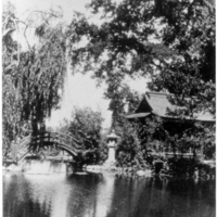 The Griffin family fish pond and tea house provided a serene spot for recreation or meditation. Note the half moon bridge and stone lantern, both traditional items found in Japanese tea gardens.