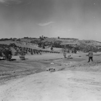 A photographer stands on the hillside, lining up a shot of the site that has recently been cleared.