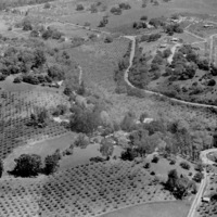 An aerial view of the portion of Los Altos Hills where Foothill College would be built. This photo, taken in 1959, shows the land before clearing and construction for the new campus had begun.