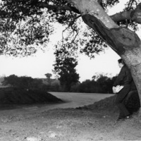 A Foothill College student watches from under a tree as the campus loop road begins to take shape.