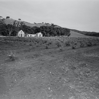 A view of Villa Maria winery in Cupertino. Photographer unknown. Date unknown, assumed to be late 1800s. 